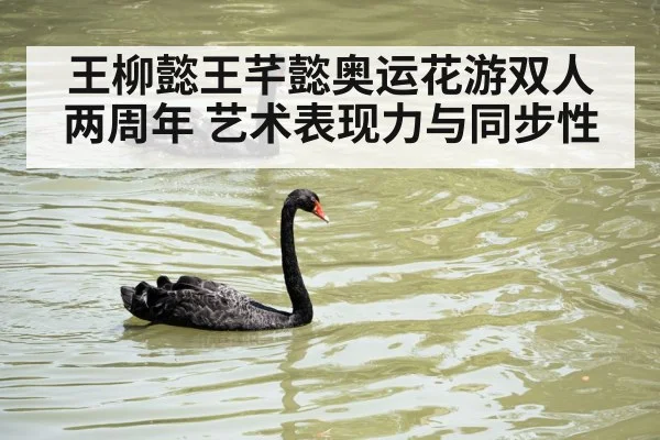 王柳懿王芊懿奥运花游双人两周年 艺术表现力与同步性